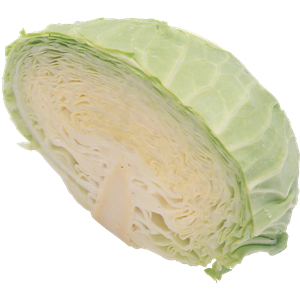 Cabbage PNG image-8816